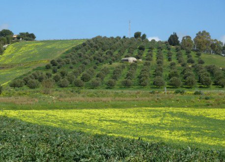 Imu sui terreni agricoli, pagamenti entro il 31 marzo prossimo